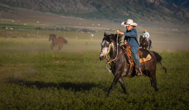 istock Cowboys Horseback Riding 976735042