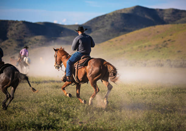 istock Cowboy Horseback Riding 976735216
