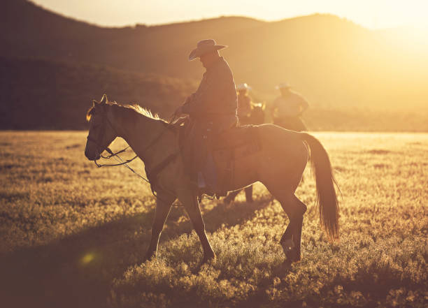 istock Cowboy Horseback Riding 976736024