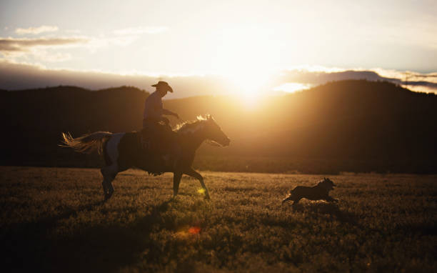 istock Cowboy Horseback Riding with his dog 976736392