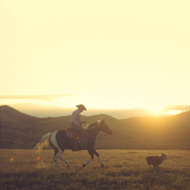 istock Cowboy Horseback Riding with his dog 976736404
