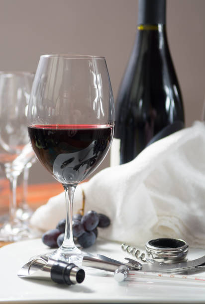 istock Professional red wine tasting event with high quality wine glasses and wine accessories 976740178