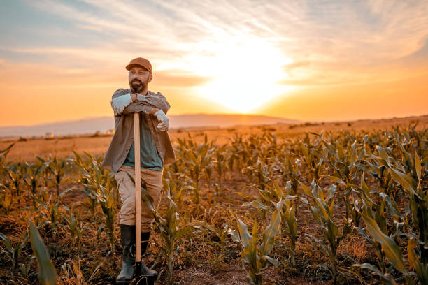 istock This is great land for planting 976742310