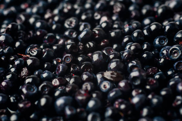 istock blueberries background. blueberries are scattered 976743152