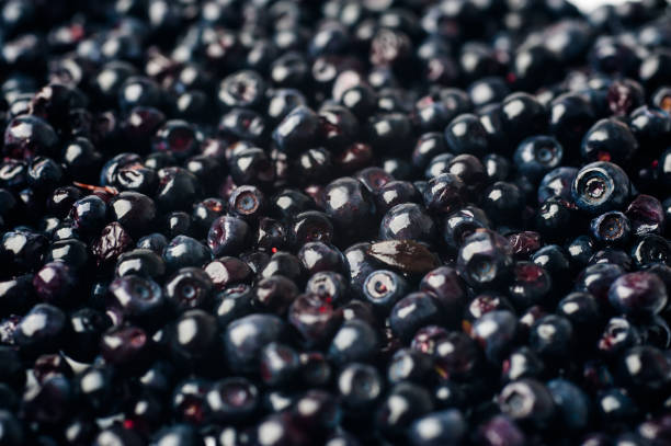 istock blueberries background. blueberries are scattered 976743386