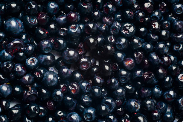 istock blueberries background. blueberries are scattered 976743596