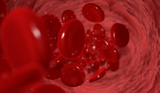 istock Blood Cells In A Vein 976746804