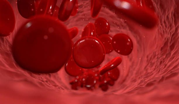 istock Blood Cells In A Vein 976746824