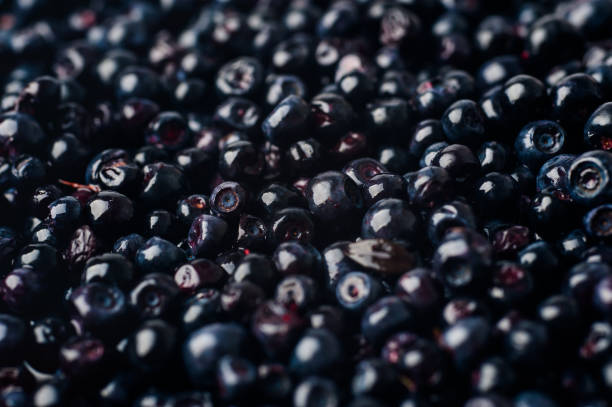 istock blueberries background. blueberries are scattered 976748022