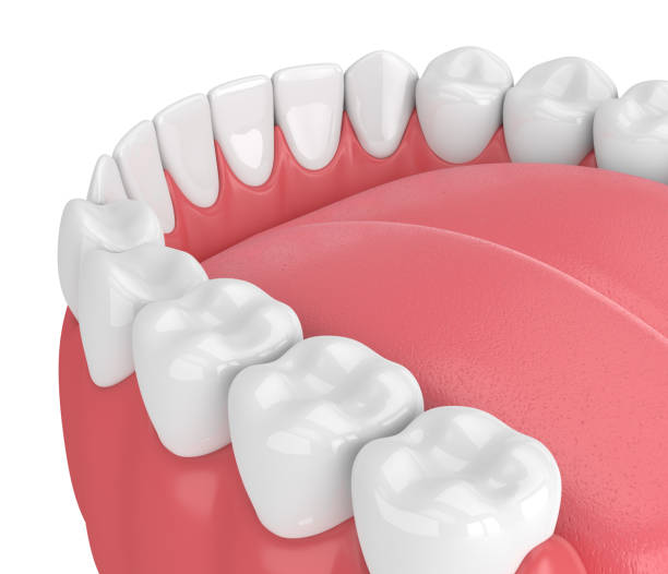 istock 3d render of jaw model with teeth over white 976778918