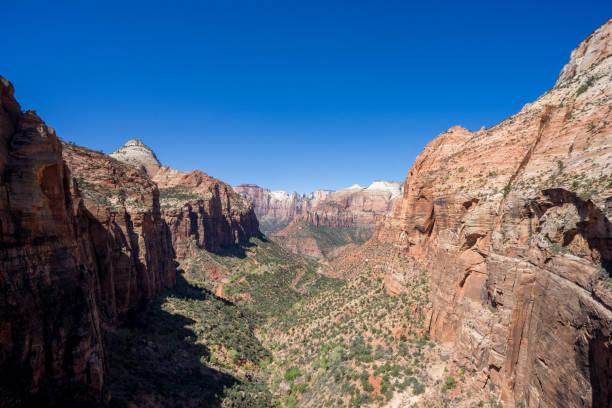 istock Canyon overlook in Zion National Park 976801342