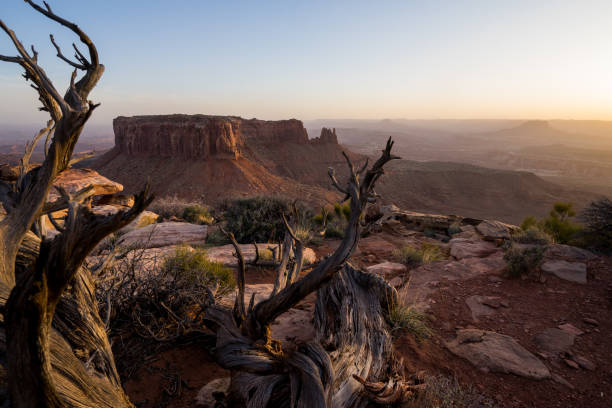istock Island in the Sky Canyonlands National Park 976802330