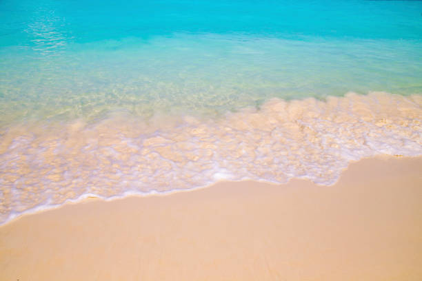 istock Beautiful beach and tropical sea 976843014