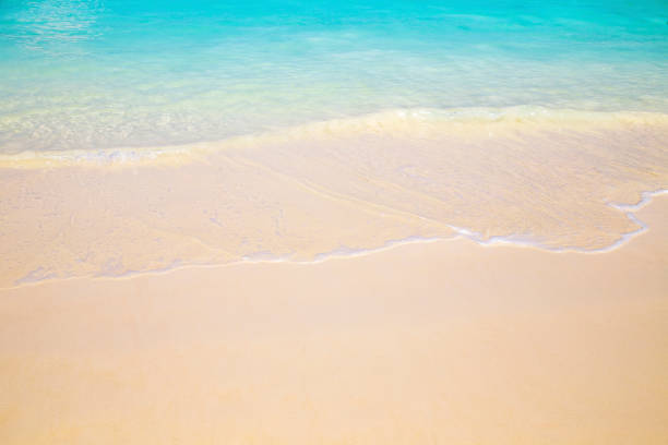 istock Beautiful beach and tropical sea 976844008