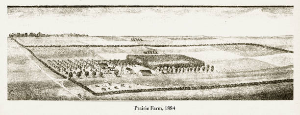 istock Prairie Farm, Early American Engraving, 1884 976844986