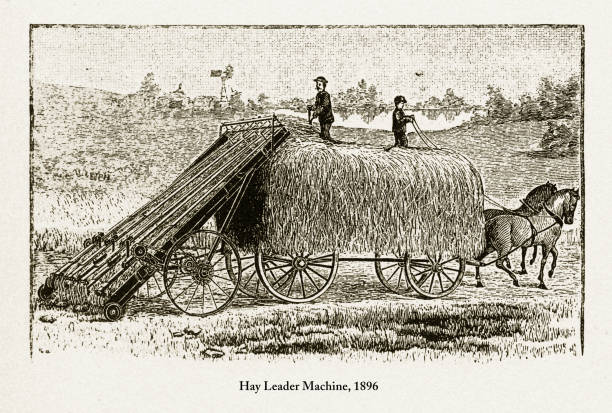 istock Hay Leader Machine, Early American Engraving, 1896 976850598