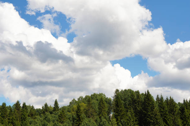 istock Green trees with clouds and blue sky landscape 976851240