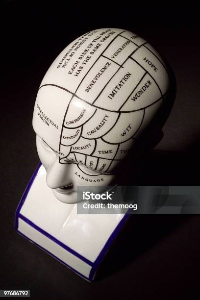 Cabeça De Frenologia - Fotografias de stock e mais imagens de Cabeça de Frenologia - Cabeça de Frenologia, Acordar, Cabeça Humana