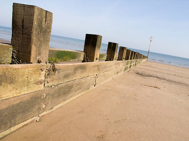 istock Wooden breakwater on beach 97686817