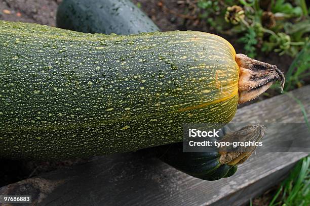 Zucchini Stock Photo - Download Image Now - Circle, Color Image, Drop