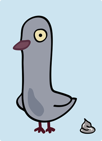 Free download of cartoon pigeon vector graphics and illustrations Free download of cartoon pigeon vector graphics and illustrations