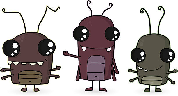 Cartoon/ Three Cockroaches / Vermins  animal antenna stock illustrations