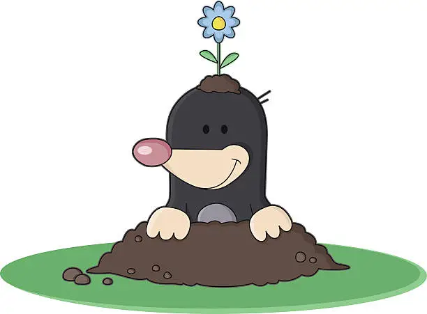 Vector illustration of cartoon Mole with Flower / Springtime