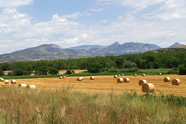istock Noguera (Catalonia, Spain) - Rural landscape with bales 97687935