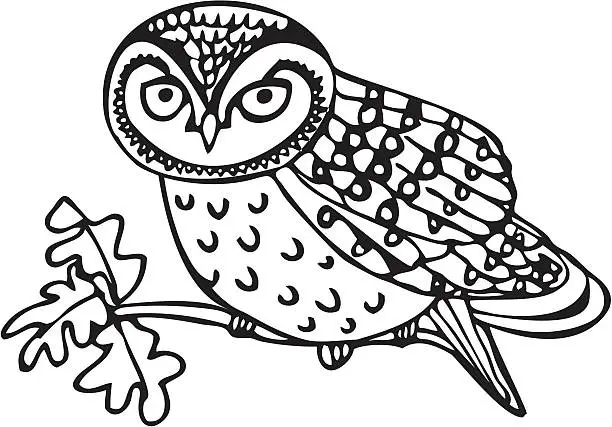 Vector illustration of Owlet