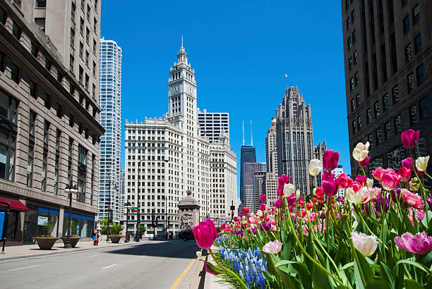 frühling in der city - michigan avenue stock-fotos und bilder