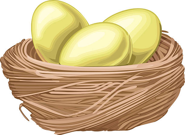 절약적 귀하의 은퇴 - retirement eggs animal egg gold stock illustrations