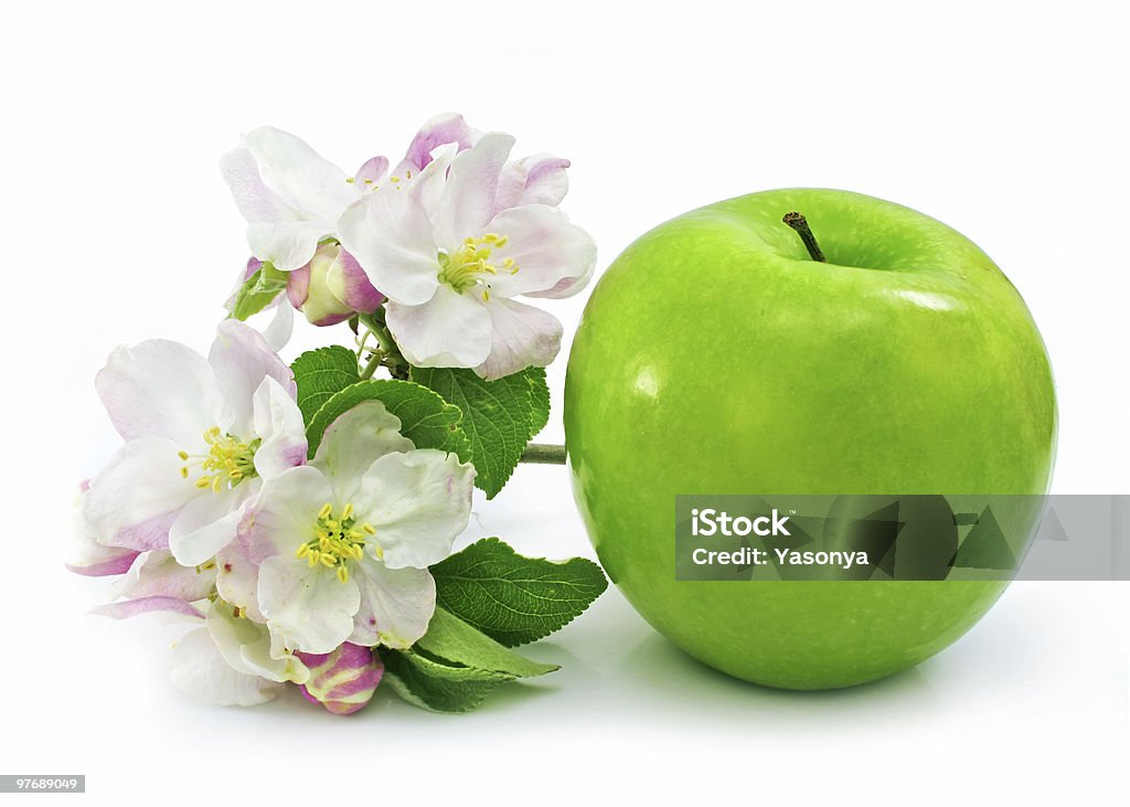 Frutos de maçã verde isolado com flores cor-de-rosa na filial - Foto de stock de Alimentação Saudável royalty-free