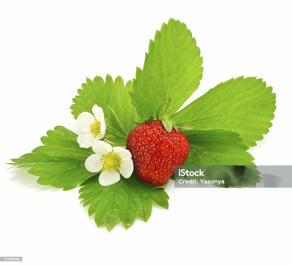 Owoce czerwone truskawki puste - Zbiór zdjęć royalty-free (Bez ludzi)