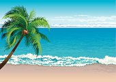Vector illustration  of coconut palm tree on a beach - Horizontal format