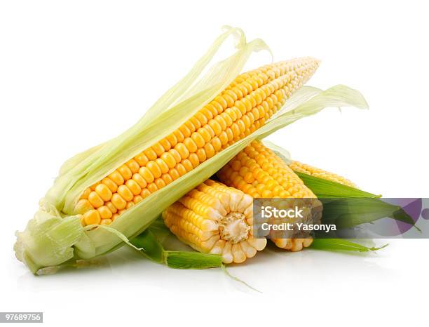 Fresh Corn On The Cob With Green Leaves On White Background Stock Photo - Download Image Now