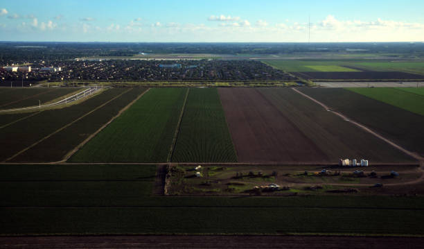 istock South Florida Farming 976898916