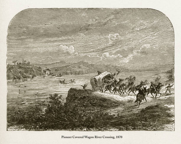 pioneer covered wagon river crossing, wczesnoamerykański rycerski wiktoriański, 1870 - santa fe trail stock illustrations
