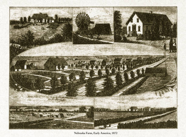 illustrazioni stock, clip art, cartoni animati e icone di tendenza di nebraska farm, ritratto della prima incisione americana, 1872 - nebraska midwest usa farm prairie