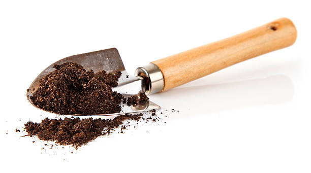 istock ground in the small shovel isolated 97690235