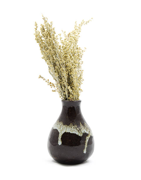 istock Dried Sage Herb in Vase 97691605