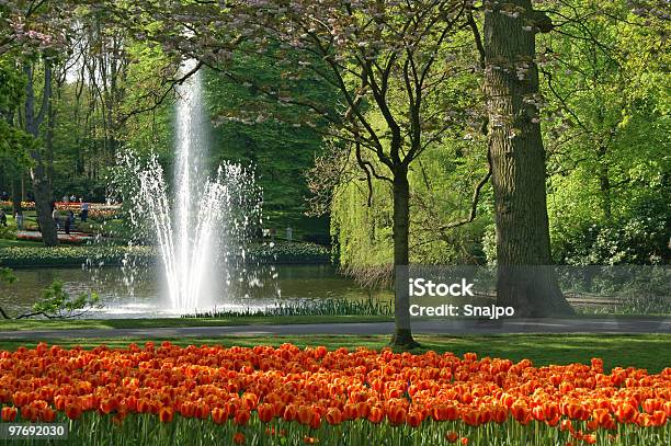 색상화 연두빛 정원 꽃-식물에 대한 스톡 사진 및 기타 이미지 - 꽃-식물, 네덜란드, 다중 색상