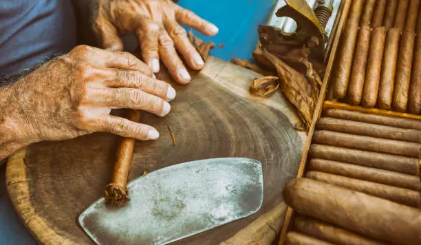 Photo of Cuban old man manufacturing cigar with tabacco leaves