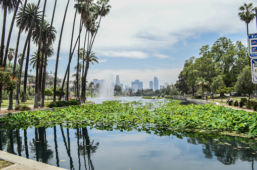Echo Park Lake with the downtown Los Angeles skyline in background