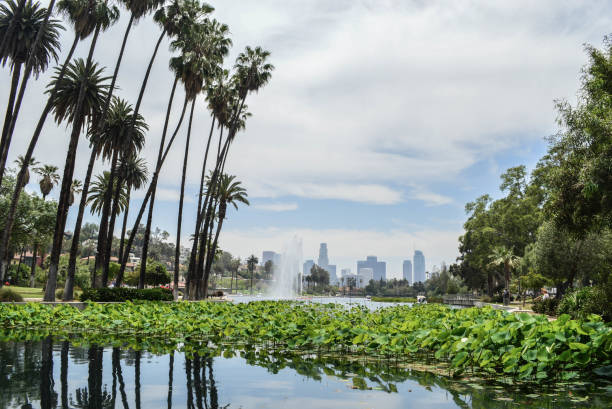istock Echo Park Lake in Echo Park, CA (Los Angeles) 976951304