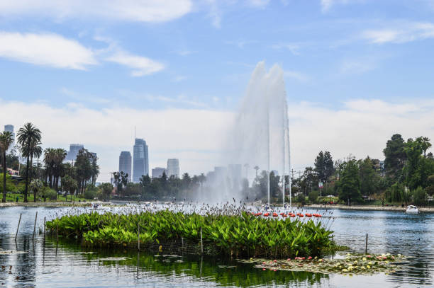 istock Echo Park Lake in Echo Park, CA (Los Angeles) 976951488