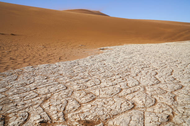 istock Sossusvlei dunes at Dead Vlei 976958066