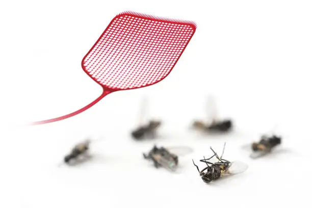 red  flyswatter and dead flies isolated on a white background, copy space, macro shot, selected focus, narrow depth of field