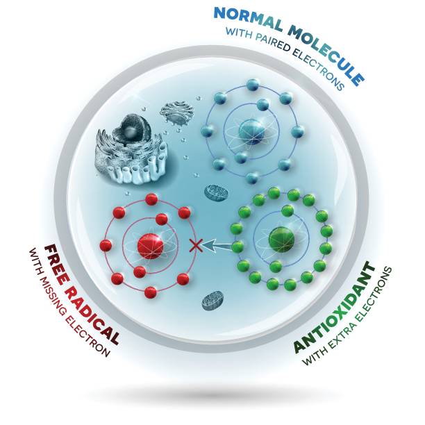 180+ Free Radicals Illustrations Illustrations - iStock