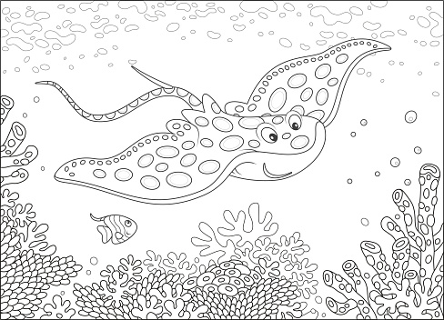 Big ray and a small butterfly fish swimming over corals in a tropical sea, black and white vector illustration in a cartoon style for a coloring book