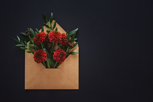Zinnia flowers in an envelope on a dark background